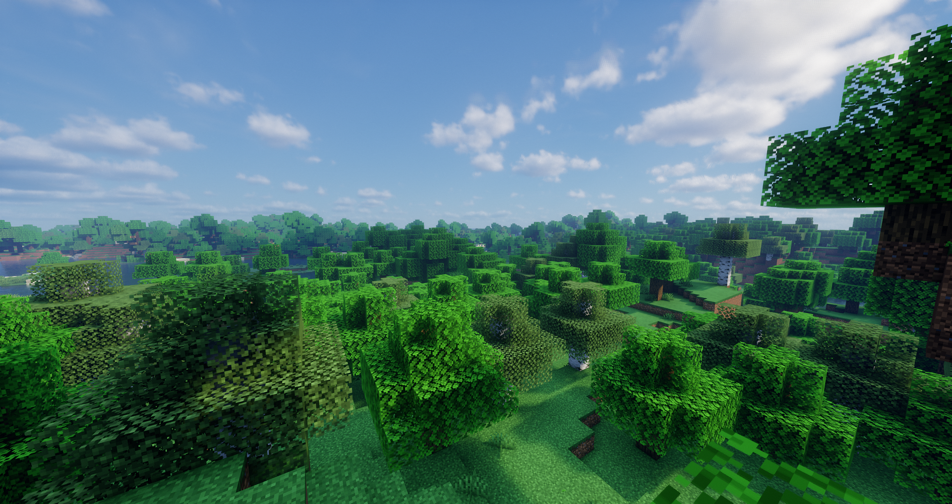 forest.png