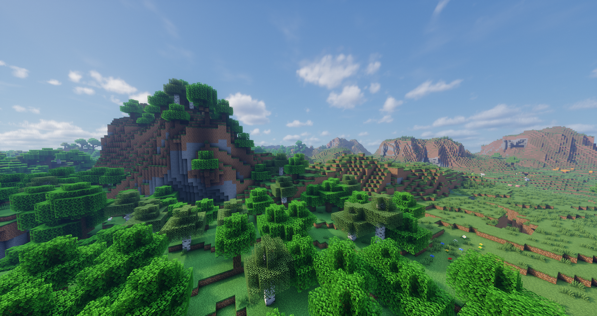 mountain forest large.png