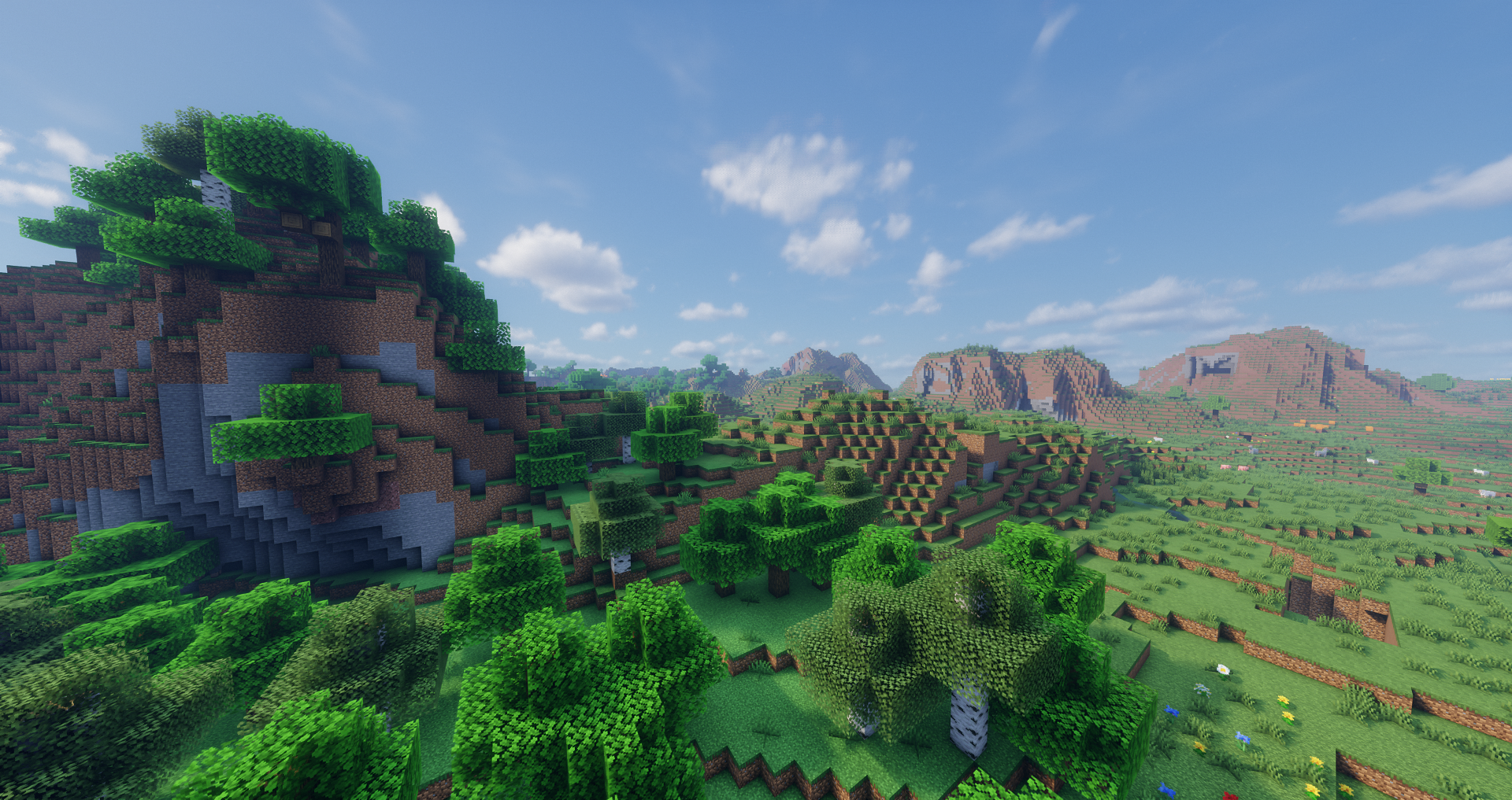mountain forest.png